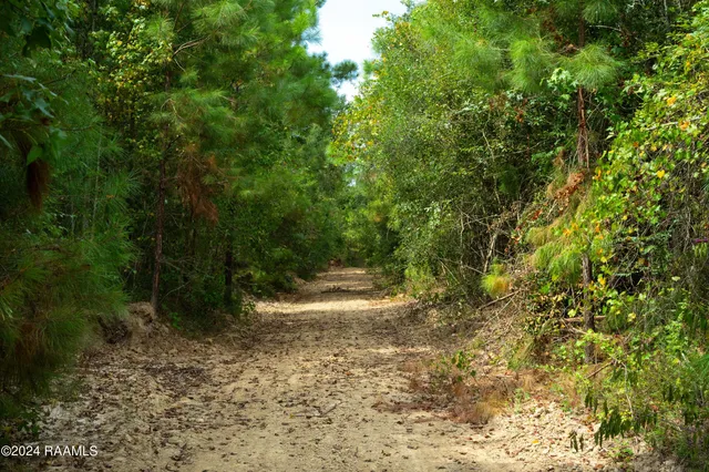 $1,025,500 | 1 Vie Terre Beau Road, Basile, LA 70515