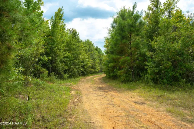 $1,025,500 | 1 Vie Terre Beau Road, Basile, LA 70515