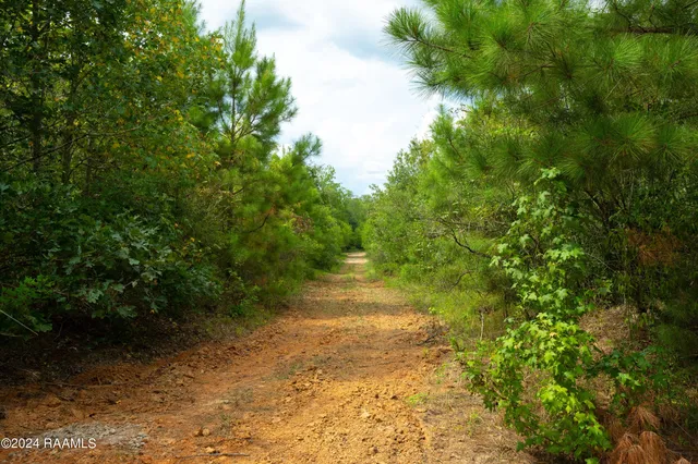 $1,025,500 | 1 Vie Terre Beau Road, Basile, LA 70515