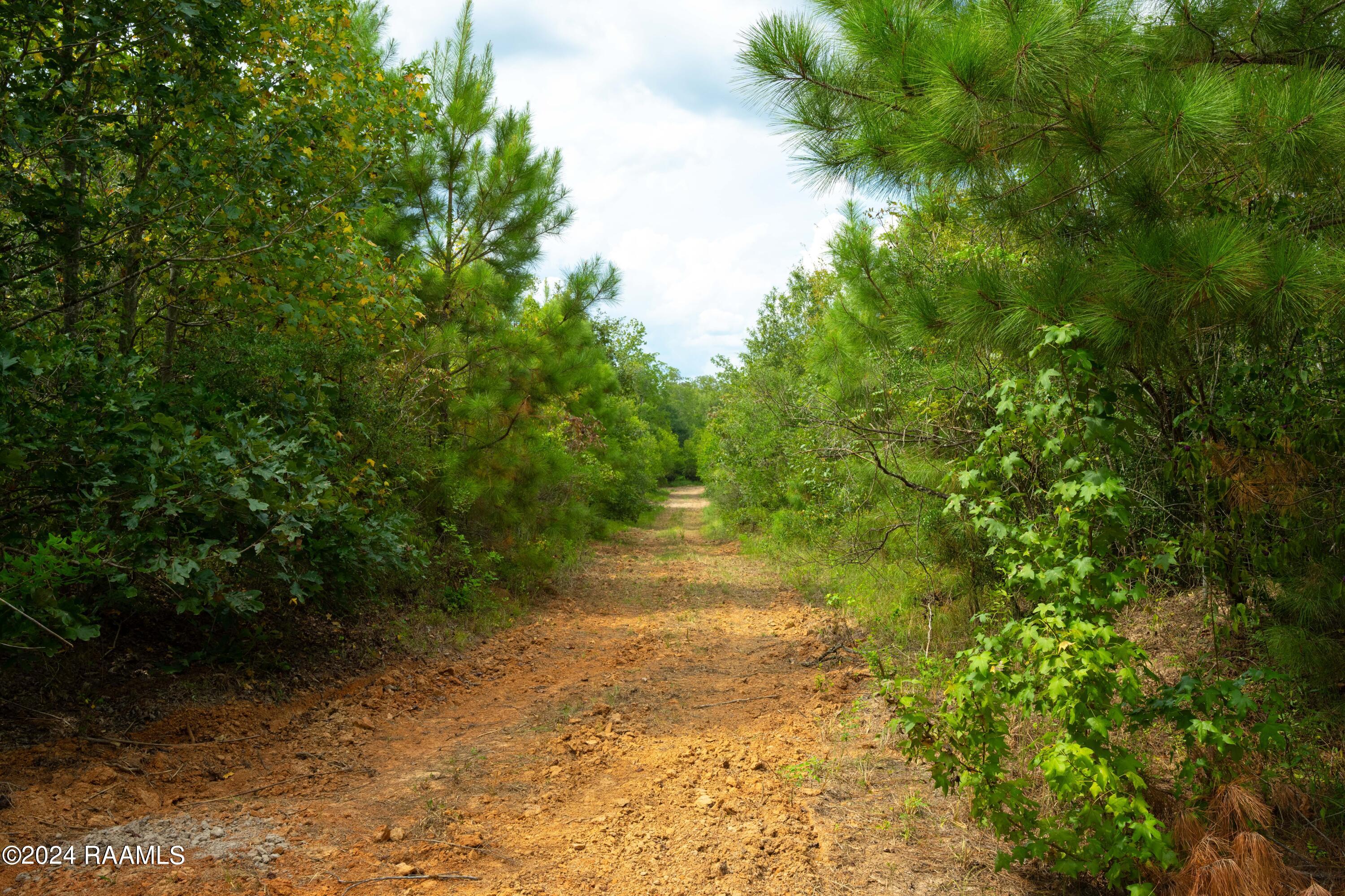 1 Vie Terre Beau Road Basile, LA 70515 - Photo 8 of 36 AcadiaWoods-10