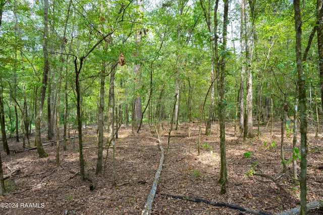 $1,025,500 | 1 Vie Terre Beau Road, Basile, LA 70515