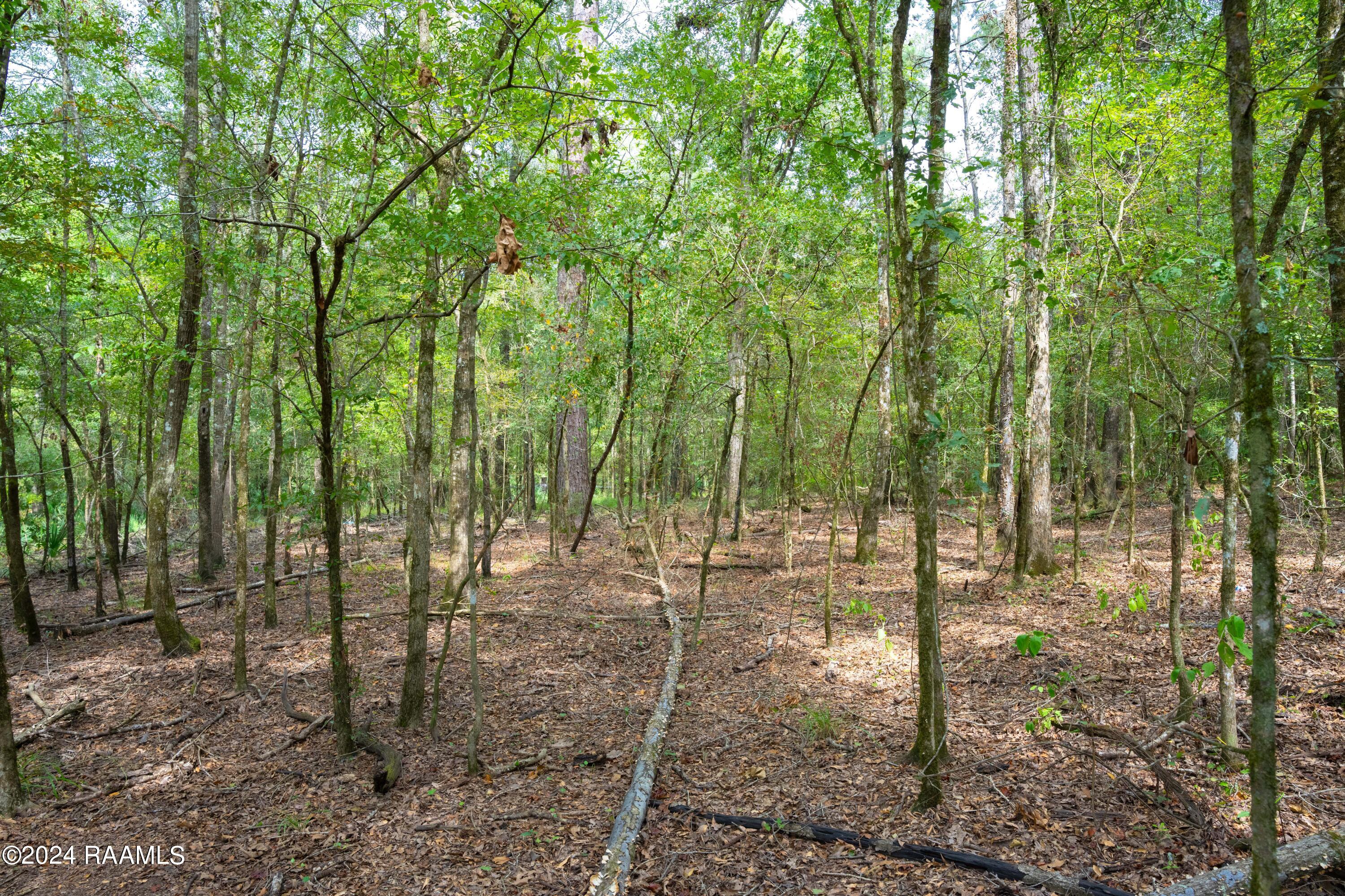 1 Vie Terre Beau Road Basile, LA 70515 - Photo 10 of 36 AcadiaWoods-12