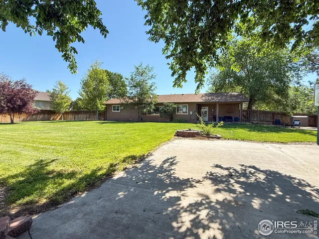 a view of a swimming pool with lawn chairs and plants