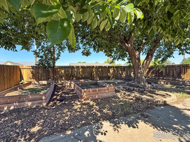 a view of a yard with wooden fence