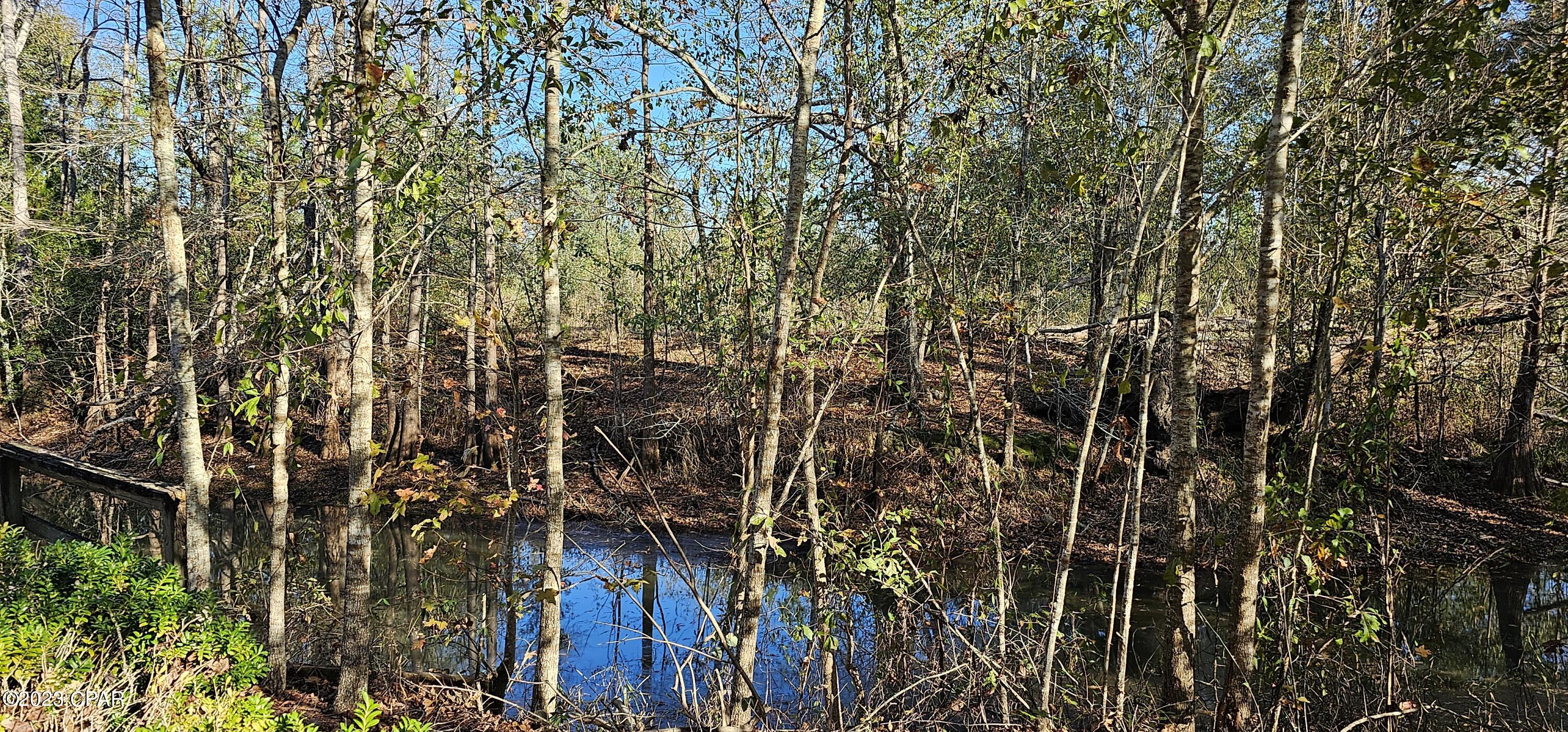 2637 Rowell Road Cottondale, FL 32431 - Photo 3 of 21