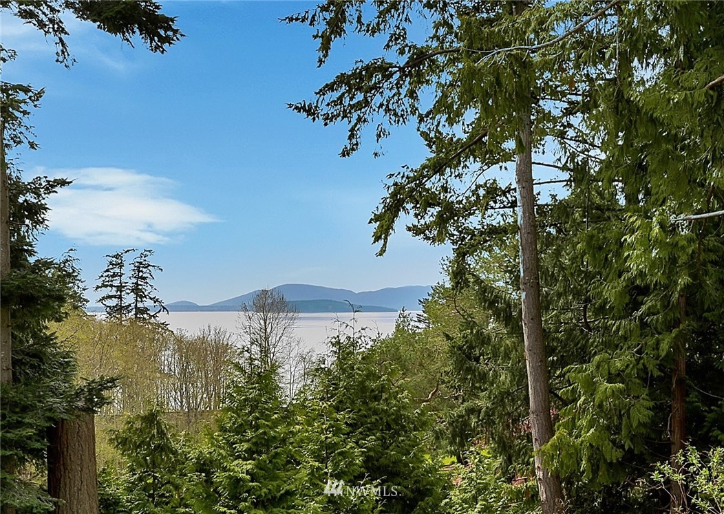 415 Cove Road Bellingham, WA 98229 - Photo 4 of 25