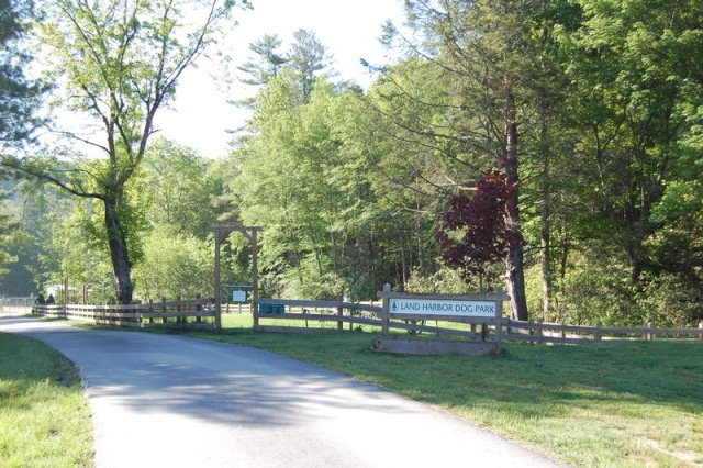 95 Aster Road Linville, NC 28646 - Photo 8 of 21 Gallery Image 8