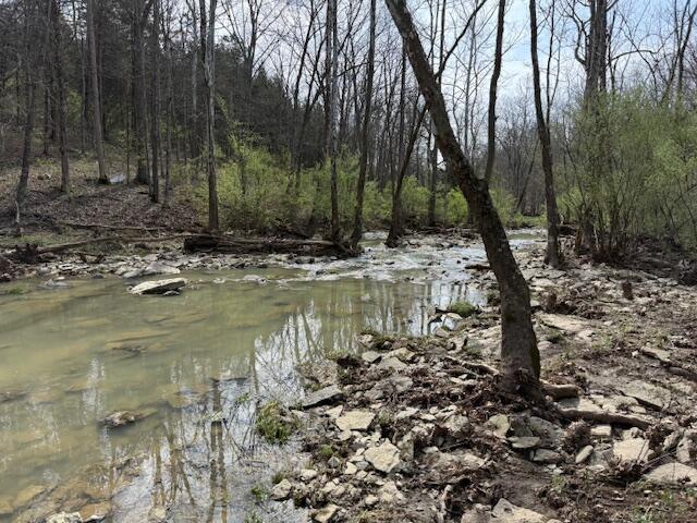 2418-1 Hempfling Road Morning View, KY 41063 - Photo 5 of 28