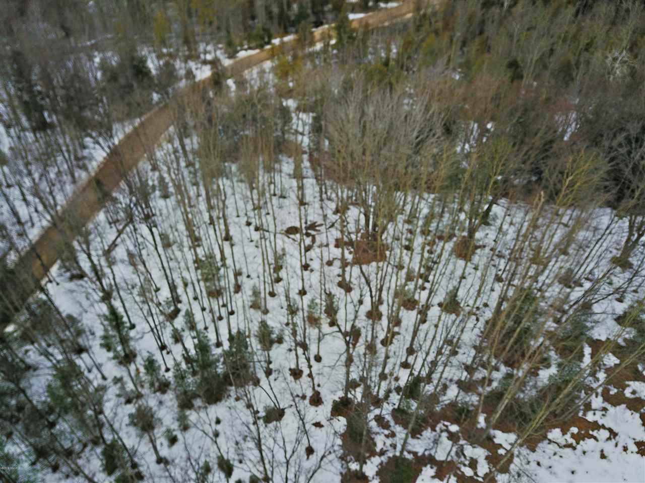 Morton Road, Unit 195 Free Soil, MI 49411 - Photo 19 of 22
