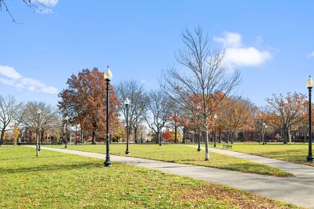 a view of a park with large trees