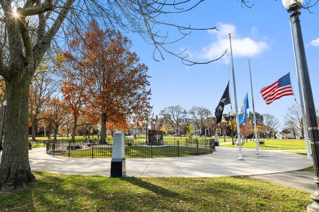 a park view with a tree and plants