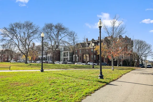 a view of a park with palm trees