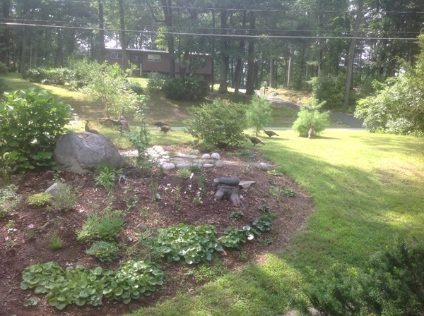 19 Hunt Road Sudbury, MA 01776 - Photo 22 of 26 Gallery Image 22