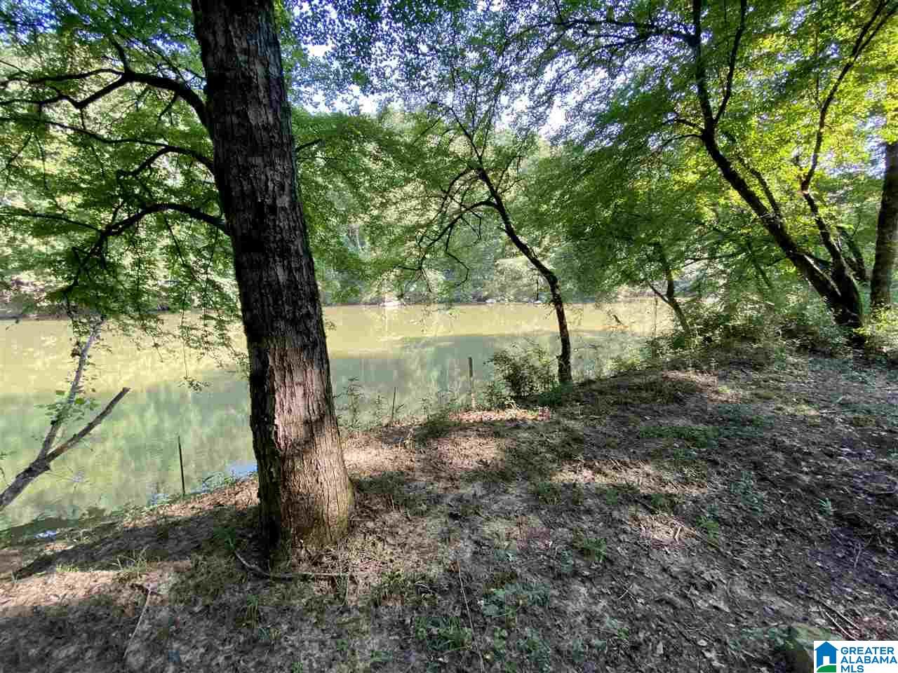 1 River Road, Unit 1 Quinton, AL 35130 - Photo 20 of 30