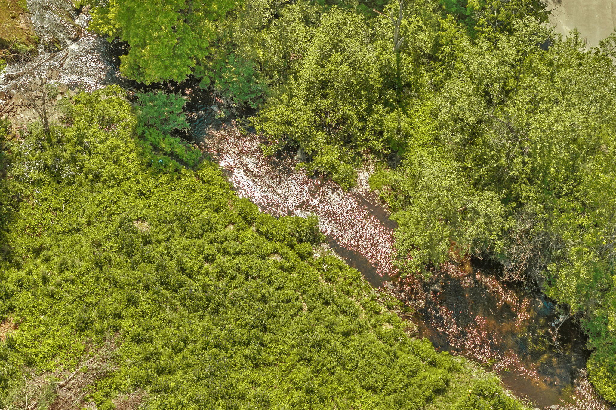 487 Brewer Lake Road Orrington, ME 04474 - Photo 52 of 69