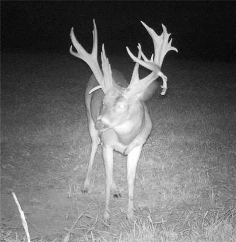 $1,300,000 | 5050 Southwest O Highway, Trimble, MO 64492