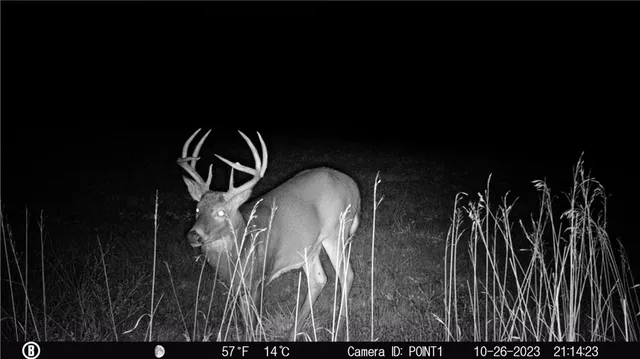 $1,300,000 | 5050 Southwest O Highway, Trimble, MO 64492