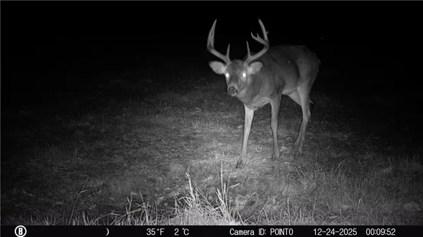 $1,200,000 | 5050 Southwest O Highway, Trimble, MO 64492