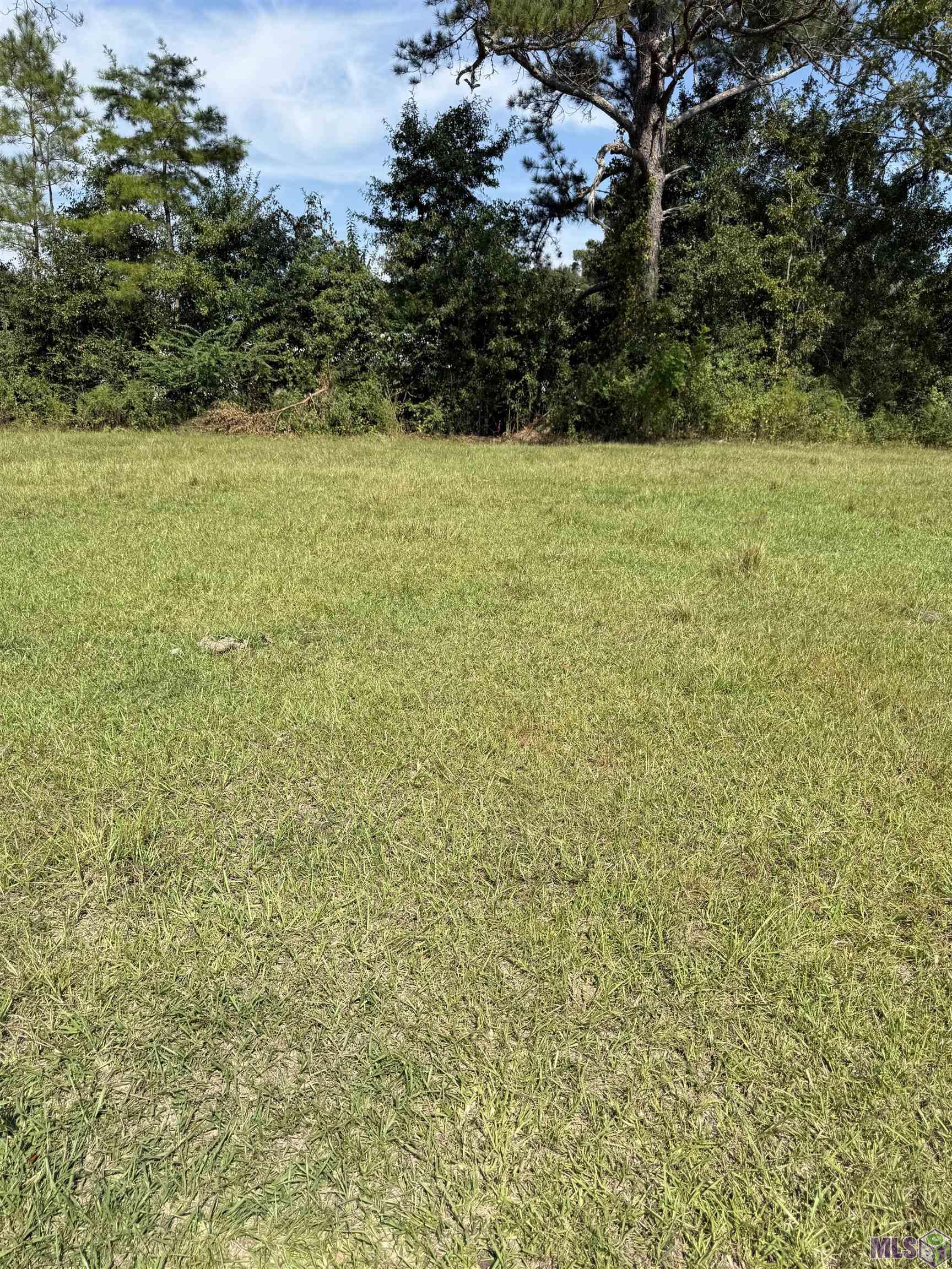 3 Lockhart Road Denham Springs, LA 70726 - Photo 2 of 8