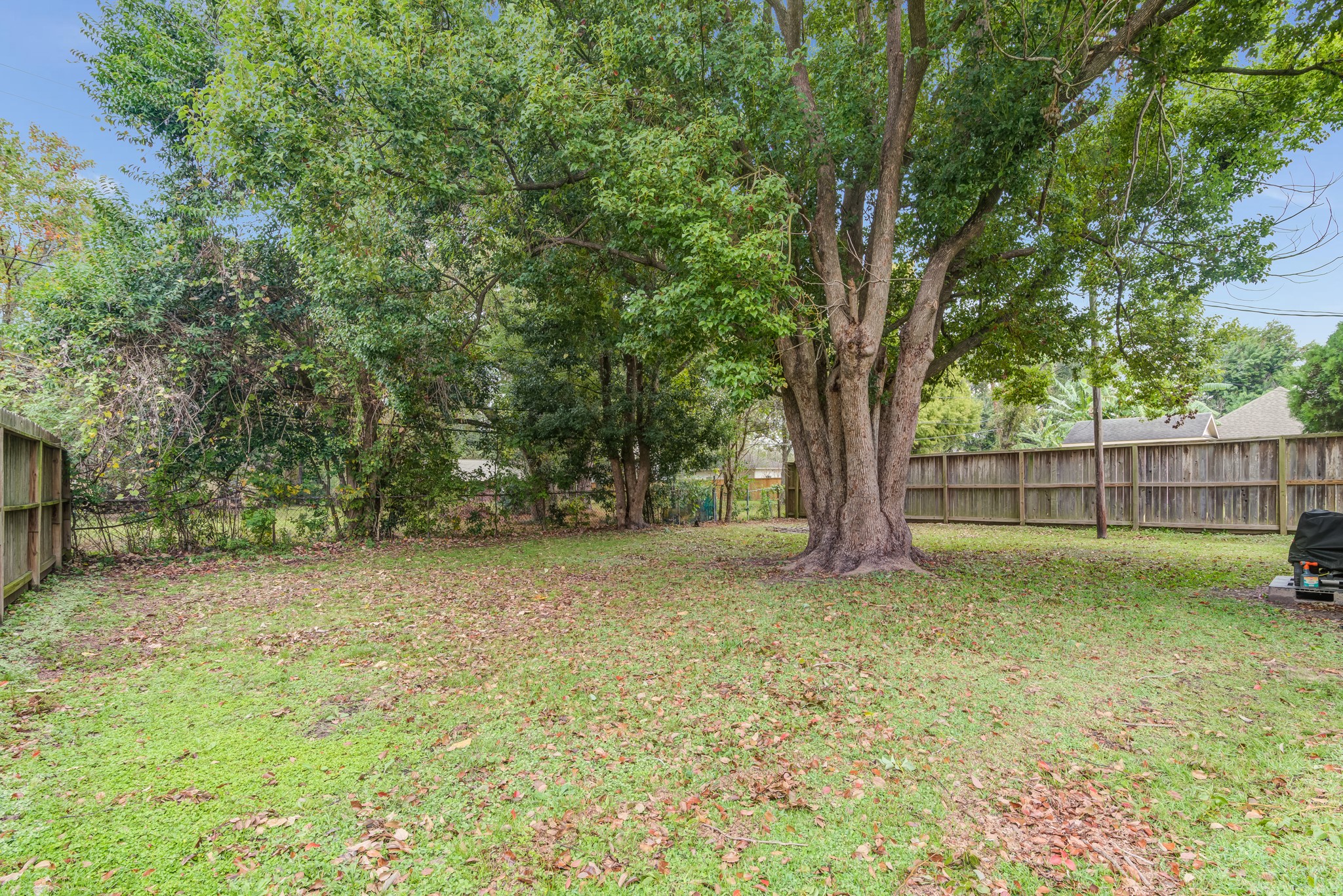 8123 Tareyton Lane Houston, TX 77075 - Photo 22 of 27 a view of a yard with a trees
