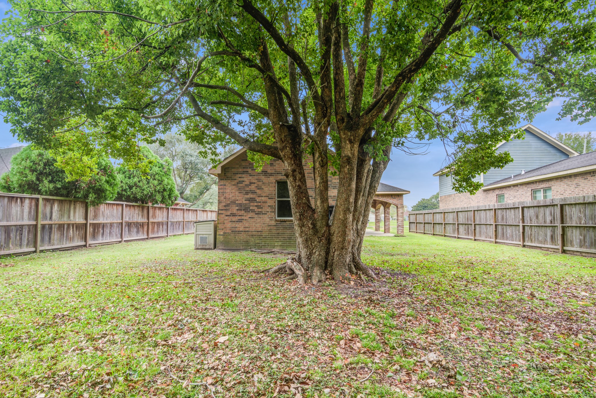 8123 Tareyton Lane Houston, TX 77075 - Photo 23 of 27 a view of a backyard with large trees and wooden fence
