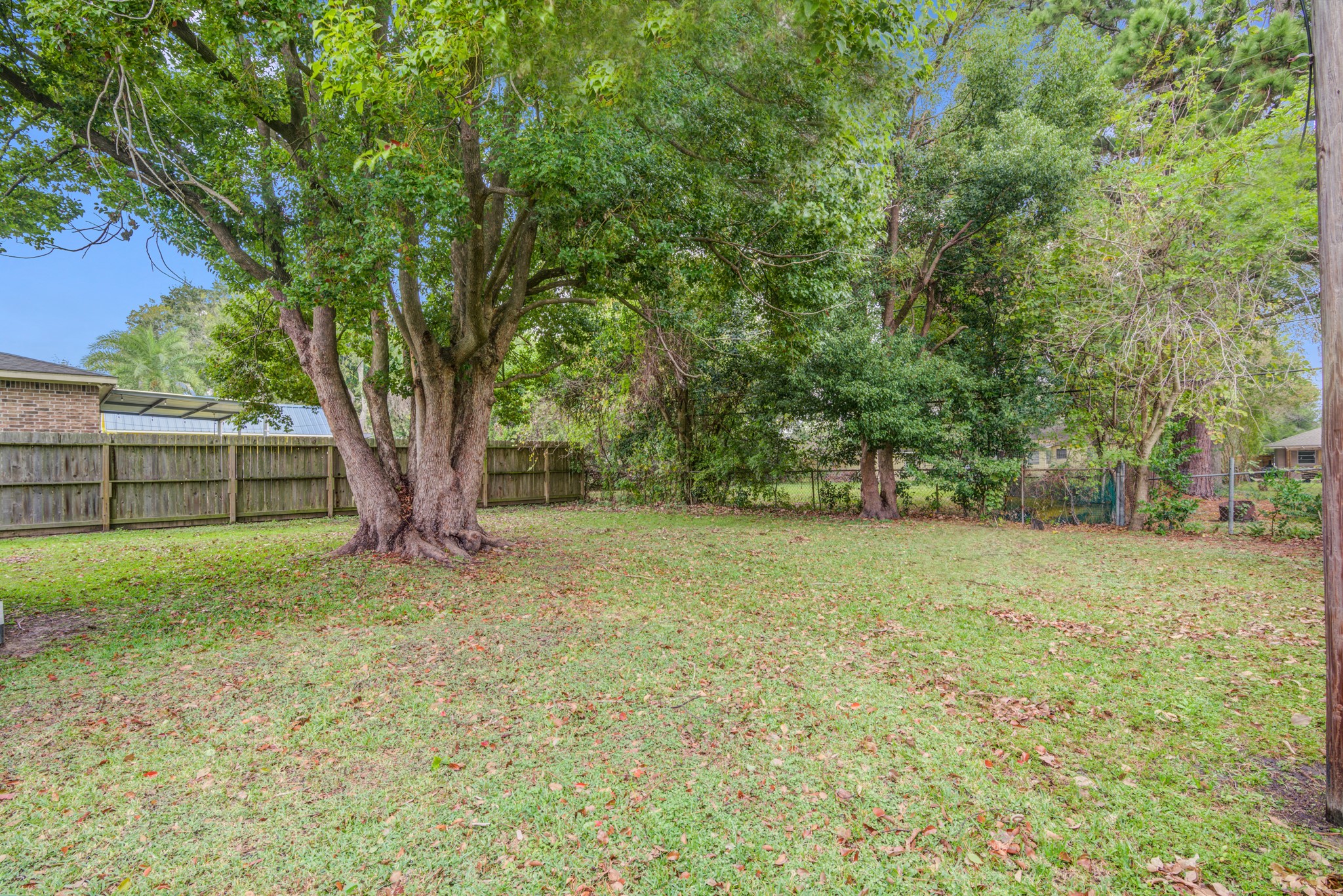 8123 Tareyton Lane Houston, TX 77075 - Photo 26 of 27 a view of a yard with a tree