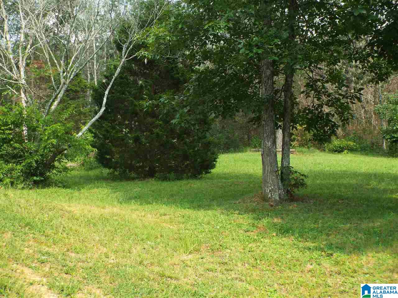 125 Moore Road Hayden, AL 35079 - Photo 12 of 38 Gallery Image 12