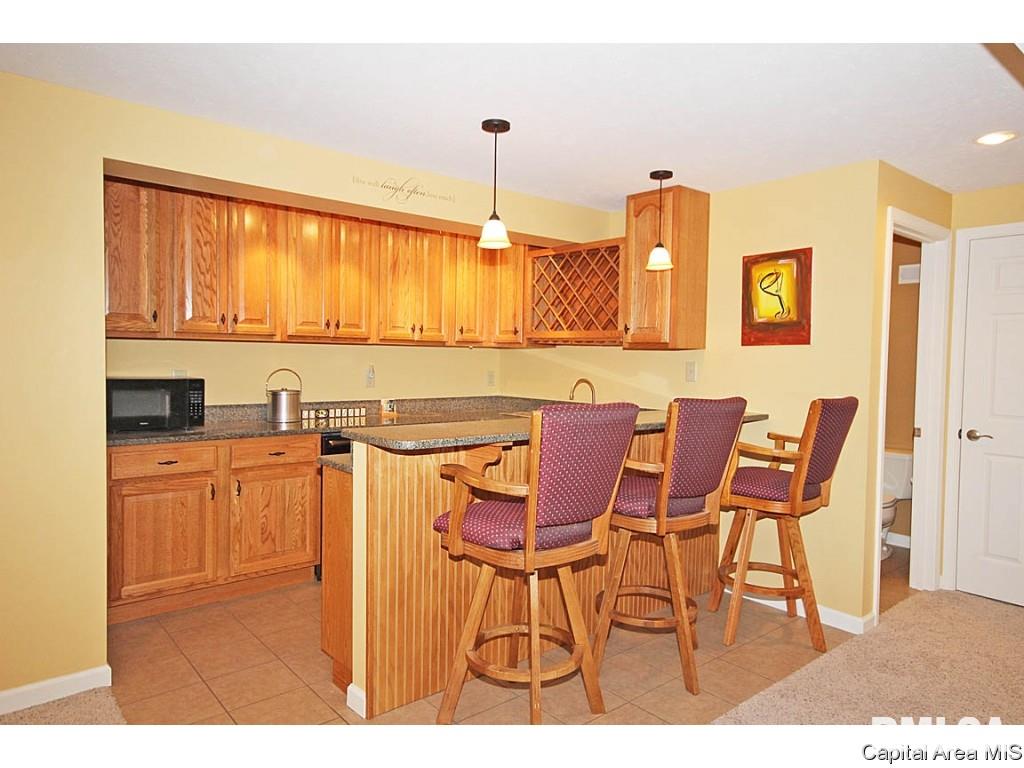 523 Eagle Ridge Drive Chatham, IL 62629 - Photo 29 of 35 Gallery Image 29