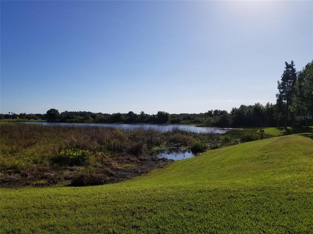 4536 Kennewick Place Riverview, FL 33578 - Photo 44 of 50 a view of a lake and green valley