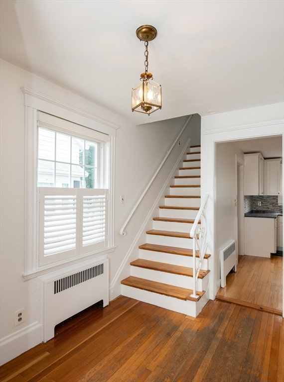48 Carter Road Lynn, MA 01904 - Photo 24 of 42
