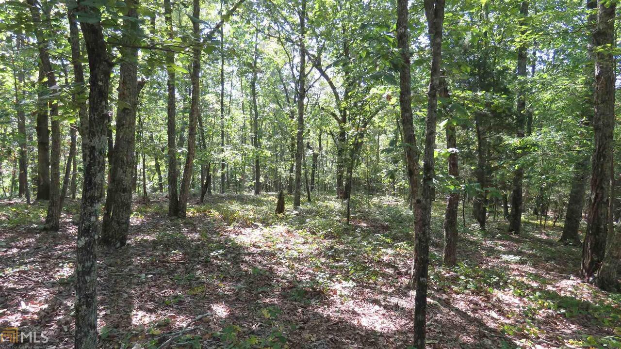 1219 Firetower Road, Unit 24 17 ACRES Thomaston, GA 30286 - Photo 1 of 1 a big yard with lots of trees