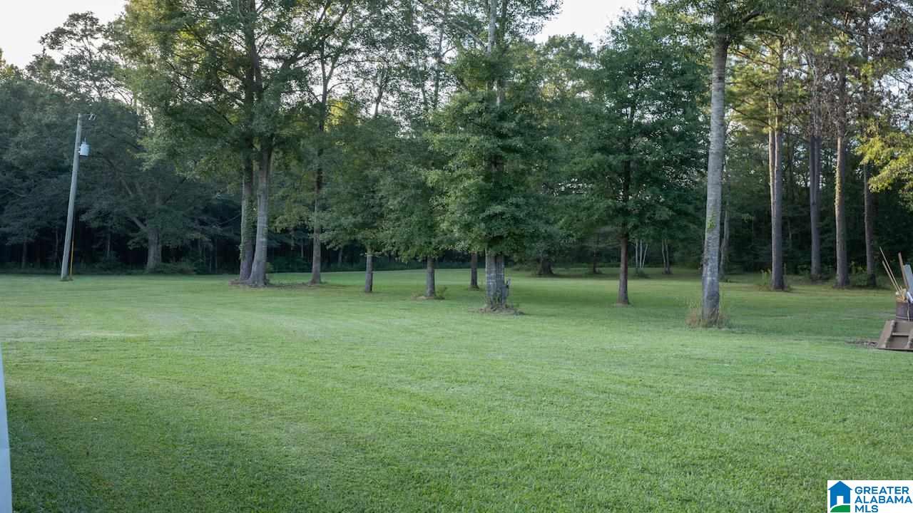 420 Cedar Creek Road Sylacauga, AL 35151 - Photo 42 of 46