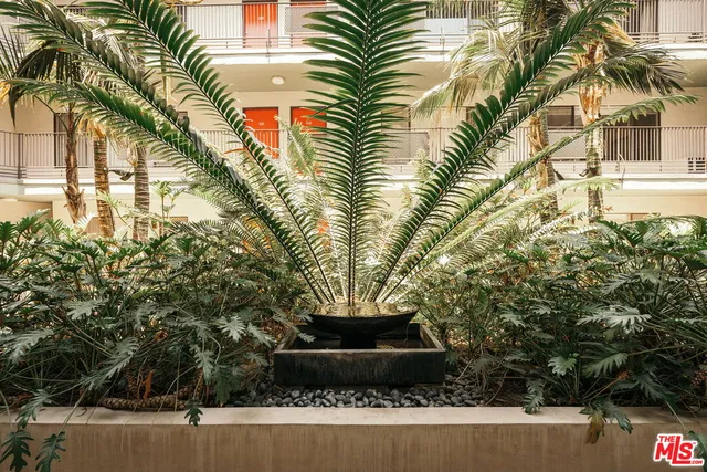 a view of a yard in front of a house