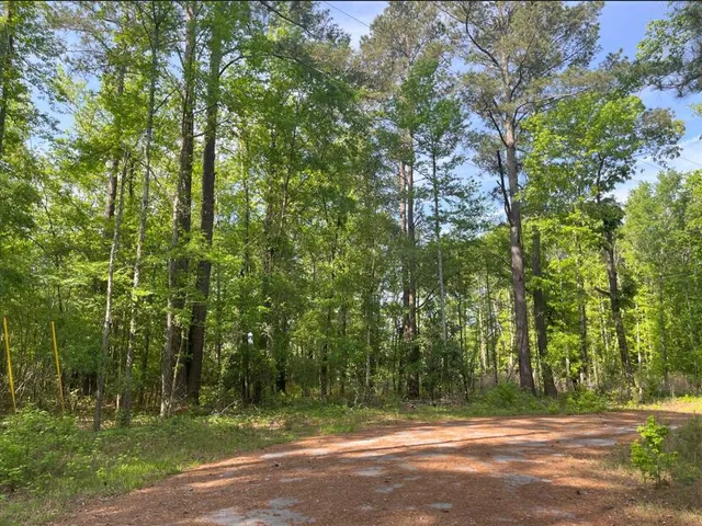 $25,000 | 0 Robin Drive, Bamberg, SC 29003