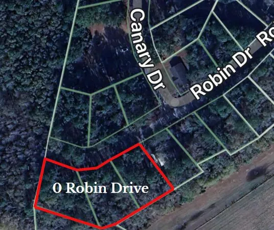 $25,000 | 0 Robin Drive, Bamberg, SC 29003