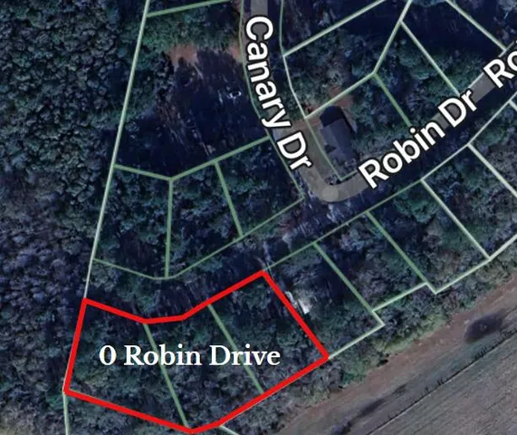 $25,000 | 0 Robin Drive, Bamberg, SC 29003