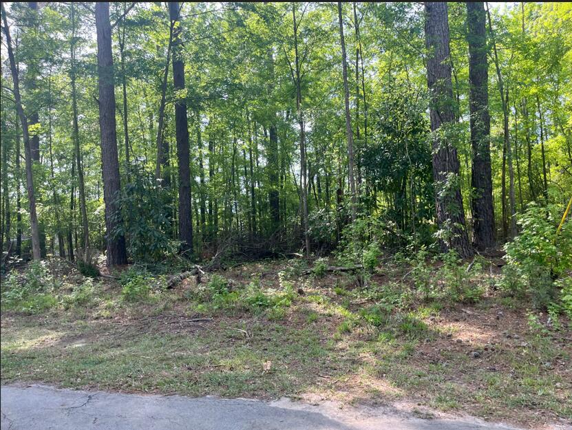 0 Robin Drive Bamberg, SC 29003 - Photo 3 of 4 ROBIN 1