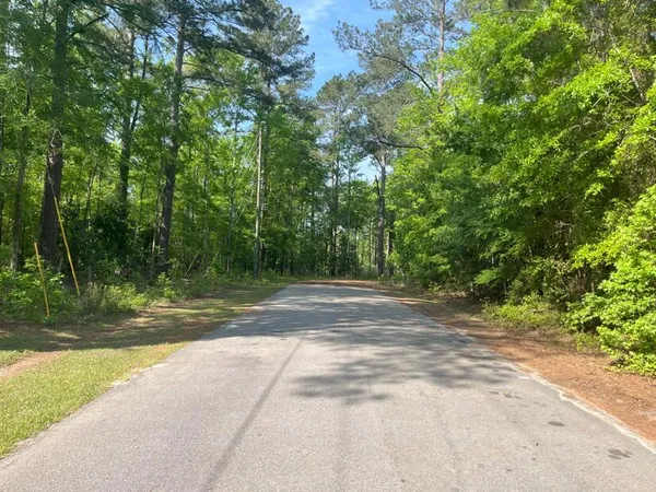 $25,000 | 0 Robin Drive, Bamberg, SC 29003