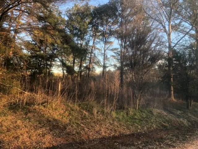 $22,000 | Tbd Tbd Integrity Road, McComb, MS 39648