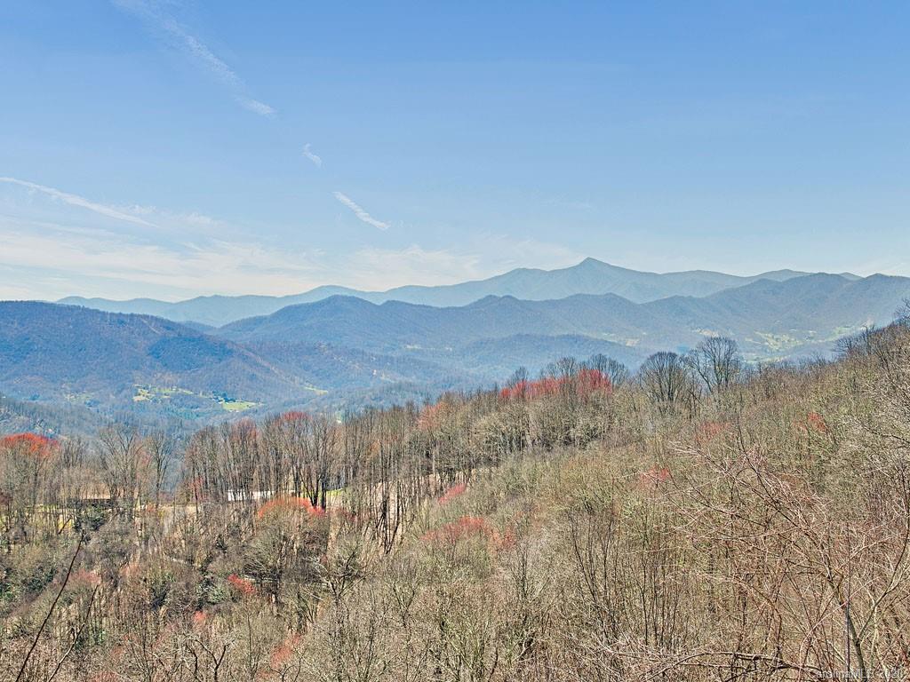 65 Pioneer Ridge Road Canton, NC 28716 - Photo 4 of 36