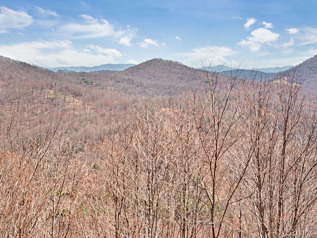 65 Pioneer Ridge Road Canton, NC 28716 - Photo 31 of 36
