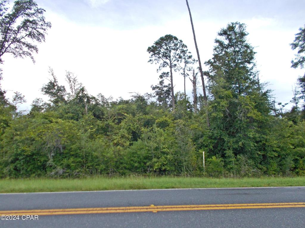 Lot 3 Fairview Road Marianna, FL 32448 - Photo 1 of 2 Gallery Image 1