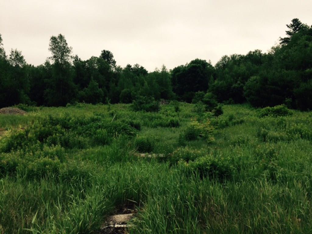957 Lakewood Road Madison, ME 04950 - Photo 6 of 8 Open Land with lots of opportunity
