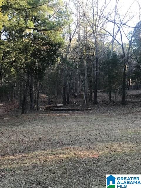 0 Mcintosh Road, Unit 29 97 Oxford, AL 36203 - Photo 1 of 2