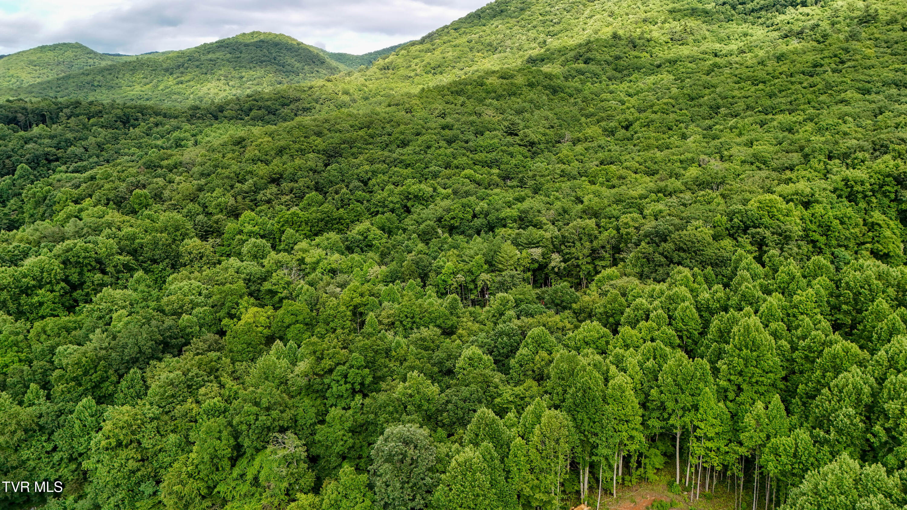 180 Bill Nave Loop, Unit 6 Elizabethton, TN 37643 - Photo 11 of 21 10-print-180 Bill Nave Loop Drone JF-11