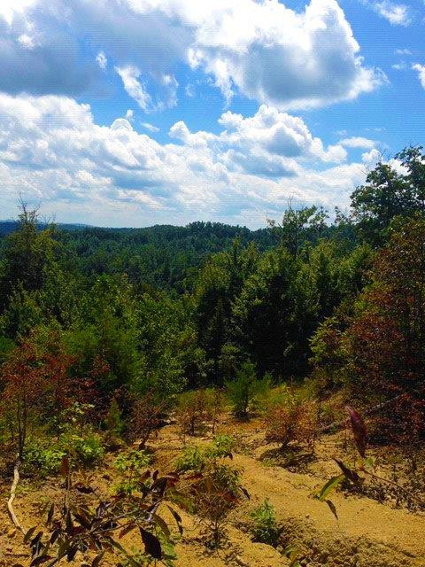 3680 Copper Creek Road Berea, KY 40403 - Photo 6 of 22 Views of the Maywoods Environmental!