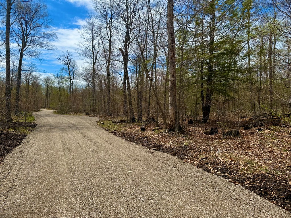 Tbd Lot1 Isle View Road Ellison Bay, WI 54210 - Photo 10 of 11