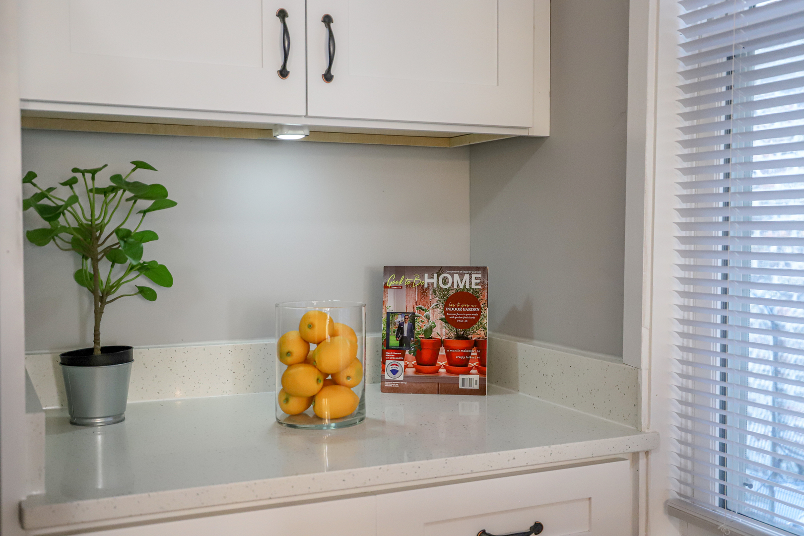 1127 North Ridgeway Avenue Chicago, IL 60651 - Photo 10 of 24 a kitchen with a potted plant on the counter