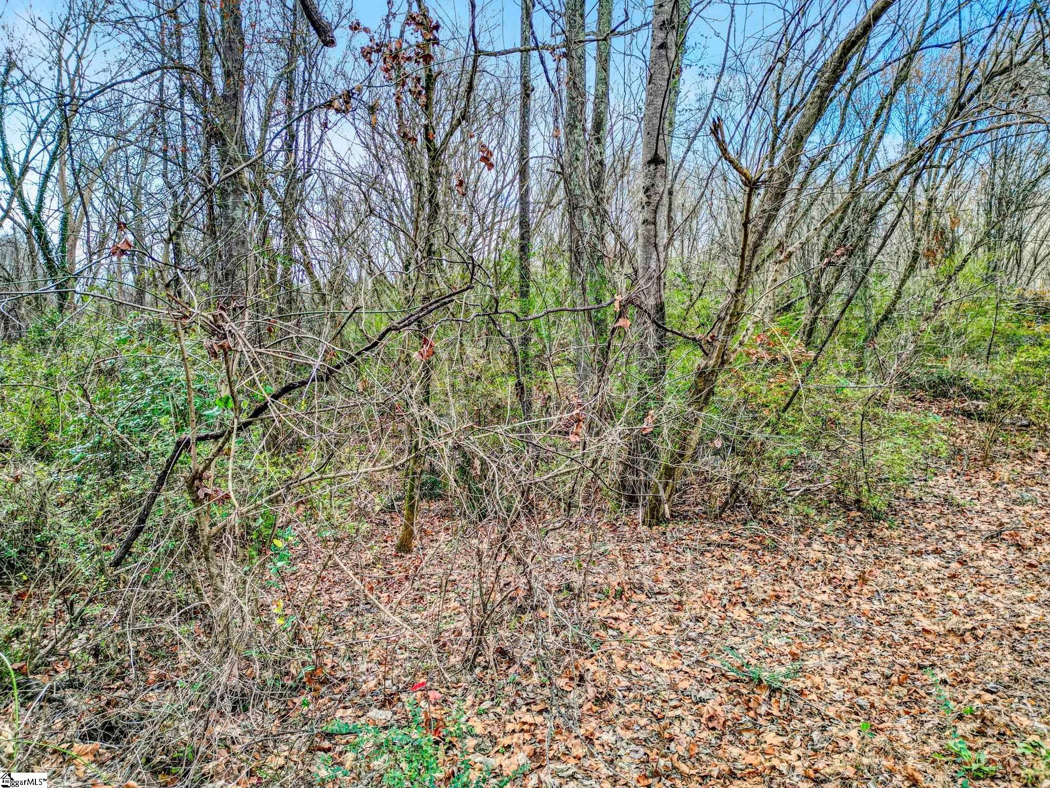 411 Wilson Bridge Road Fountain Inn, SC 29644 - Photo 13 of 23