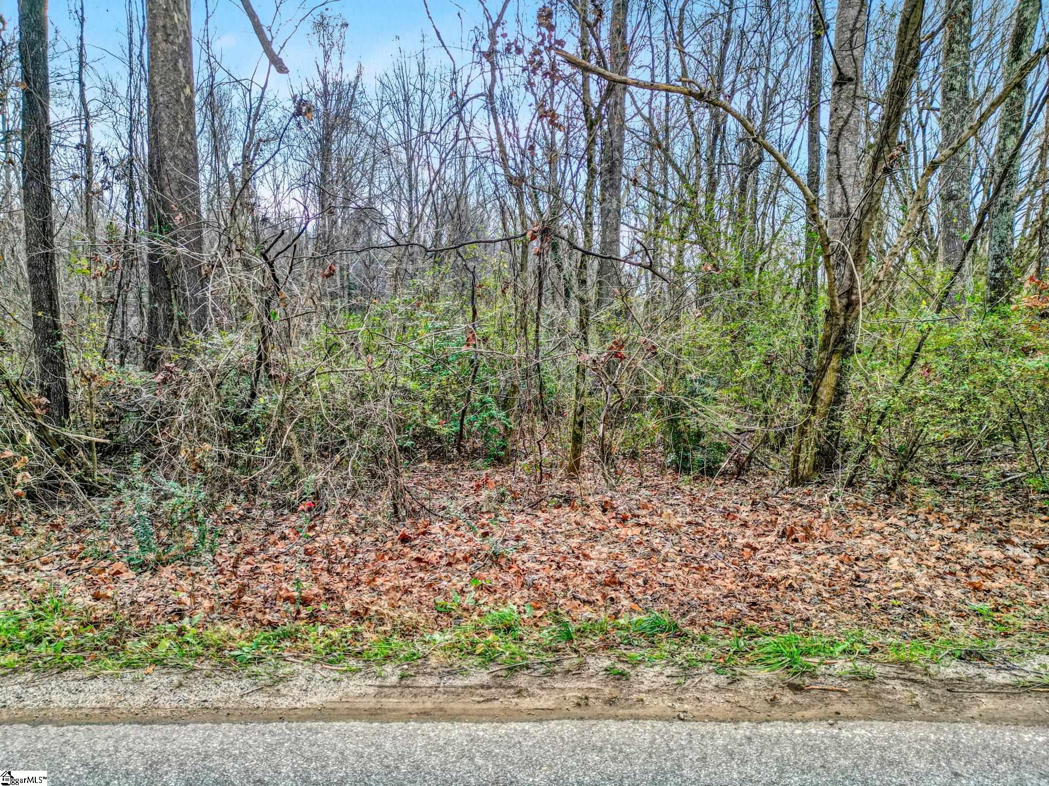 411 Wilson Bridge Road Fountain Inn, SC 29644 - Photo 14 of 23